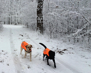 Reflective Dog Vest L Size Chest 35.75 In Neck 26.75 in Hi Visibility
