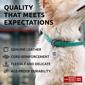 WAUDOG Ultra Soft Rolled Leather Dog Collar for Small Dogs Soft Padded Dog Collars for Medium Dogs Puppy Collars for Large Breed Dogs Male and Female Dog Collar