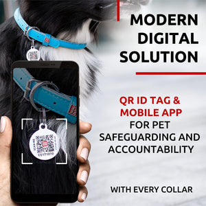 WAUDOG Ultra Soft Rolled Leather Dog Collar for Small Dogs Soft Padded Dog Collars for Medium Dogs Puppy Collars for Large Breed Dogs Male and Female Dog Collar
