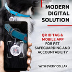 Load image into Gallery viewer, Rolled Leather Dog Collar Padded All Sizes 15–19 in Neck Blue