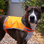 Load image into Gallery viewer, Lightweight Dog Vest M Size Mid-Back Coverage 26 in Chest x 21 in Neck