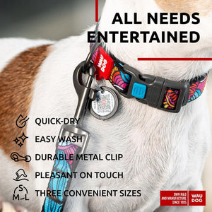 Nylon Dog Leash for Small Medium Dogs 4 Ft Strong Dog Leash Colorful Heavy Duty