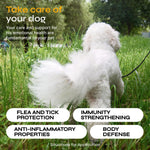 Load image into Gallery viewer, Flea and Tick Prevention for Dogs   Dog Flea Treatment Chews   Immune Support Flea and Tick Chewables for Dogs   Dog Flea &amp; Tick Control Supplement   All Breeds &amp; Ages   Vet Formulated   Soft Treats