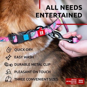 Nylon Dog Leash for Small Dogs and Medium Dogs 4 Ft Strong Dog Leash for Large Dogs Heavy Duty Dog Leashes for Large Breed Dogs & Puppy Leash for Small Boy & Girl Dogs