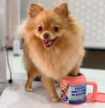 Load image into Gallery viewer, Paw Plunger Black 5.25 inch L x 3.5 inch W x 4 inch H Gentle Paw Cleaner to Keep Your Home and Car Dirt-Free
