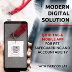 Load image into Gallery viewer, Red Ultra Soft Rolled Leather Dog Collar for XSmall Dogs 1013 inch Neck
