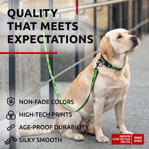 WAUDOG Nylon Dog Leash for Small Dogs and Medium Dogs 4 Ft Strong Dog Leash for Large Dogs Heavy Duty Dog Leashes for Large Breed Dogs & Puppy Leash for Small Boy & Girl Dogs