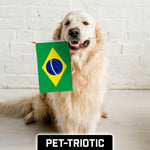 Load image into Gallery viewer, G128 30 Pack Handheld Brazil Brazilian Stick Flags  12x18 In  Printed 150D Polyester, Country Flag, Solid Wooden Stick, Spear Gold Tip