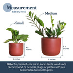 Load image into Gallery viewer, 4 Inch and 6 Inch Terracotta Pot Set of 2 Ceramic Planter Clay Pots for Indoor Plants Succulent Planter with Drainage Hole and Mesh Net DIY Craft Garden &amp; Home Decor