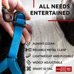 Load image into Gallery viewer, Waterproof Dog Harness Adjustable 24–35 in Metal Clasp &amp; QR Tag Blue