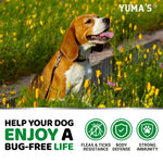 Load image into Gallery viewer, Flea &amp; Tick Chews for Dogs 170 Count Oral All Breeds &amp; Ages