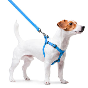 Waterproof Dog Harness (Blue 9 16 16 22 in)