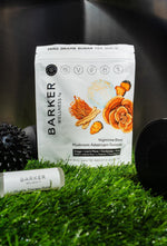 Load image into Gallery viewer, Nighttime Mushroom Adaptogen Gummies   Sugar Free Vegan Blend with Reishi
