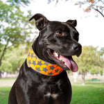 Load image into Gallery viewer, Reflective Dog Collar M Size Fluorescent Blaze Orange with Adjustable Fastener
