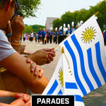 Load image into Gallery viewer, G128 24 Pack Handheld Uruguay Uruguayan Stick Flags  12x18 In  Printed 150D Polyester, Country Flag, Solid Wooden Stick, Spear Gold Tip