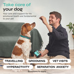Load image into Gallery viewer, Hemp Calming Chews for Dog Anxiety Relief Calming Treats for Dogs Stress Separation Anxiety Relief Storms Hemp Seed Oil Calming Chews for Dogs Dog Calming Treats for Anxiety Relief