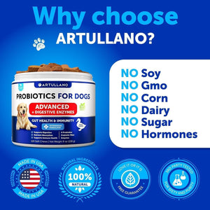 Probiotics for Dogs   Support Gut Health Itchy Skin Allergies Immunity Yeast