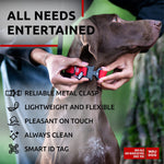 Load image into Gallery viewer, Red Waterproof Dog Collar  Size 12  19 inch x 1 inch Wide Metal Buckle
