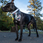 Load image into Gallery viewer, Dog Christmas Bandana 2 Pack – Reflective Holiday Ugly Sweater Dinosaur Print &amp; Classic Xmas Design – Adjustable Pet Collar Bandanas for Large Medium &amp; Small Breeds Dog or Cat Accessory Gift