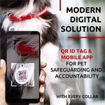 Load image into Gallery viewer, Red Ultra Soft Rolled Leather Dog Collar for Small Dogs 13  16 inch Neck  Soft