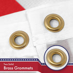 Load image into Gallery viewer, Washington DC City Flag 3x5 Ft 2 Pack 150D Printed Polyester Brass Grommets

