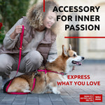Load image into Gallery viewer, Nylon Dog Leash for Small Dogs and Medium Dogs 4 Ft Strong Dog Leash for Large Dogs Heavy Duty Dog Leashes for Large Breed Dogs &amp; Puppy Leash for Small Boy &amp; Girl Dogs
