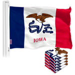 Load image into Gallery viewer, Iowa IA State Flag 3x5 Ft 5Pack 150D Printed Polyester By G128