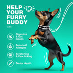 Load image into Gallery viewer, Probiotics for Dogs Support Gut Health Immunity Yeast Balance Itchy Skin
