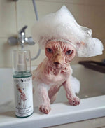 Load image into Gallery viewer, Sphynx cat Shampoo for Naked and Hairless Cats 120 ml with Foam Pump
