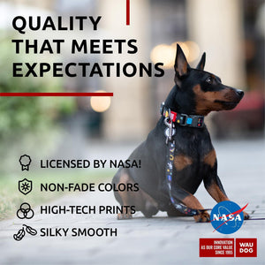 Nylon Dog Leash for Small Dogs and Medium Dogs 4 Ft x 3/5 inch Wide NASA Design