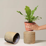 Load image into Gallery viewer, Jute Planter Basket Set of 2 Woven Jute Rope Covers for Decorating Indoor Outdoor Succulents Small Plant Pots Multi Purpose Storage Bins 6.5 Inches   Modern Style Décor  Brown